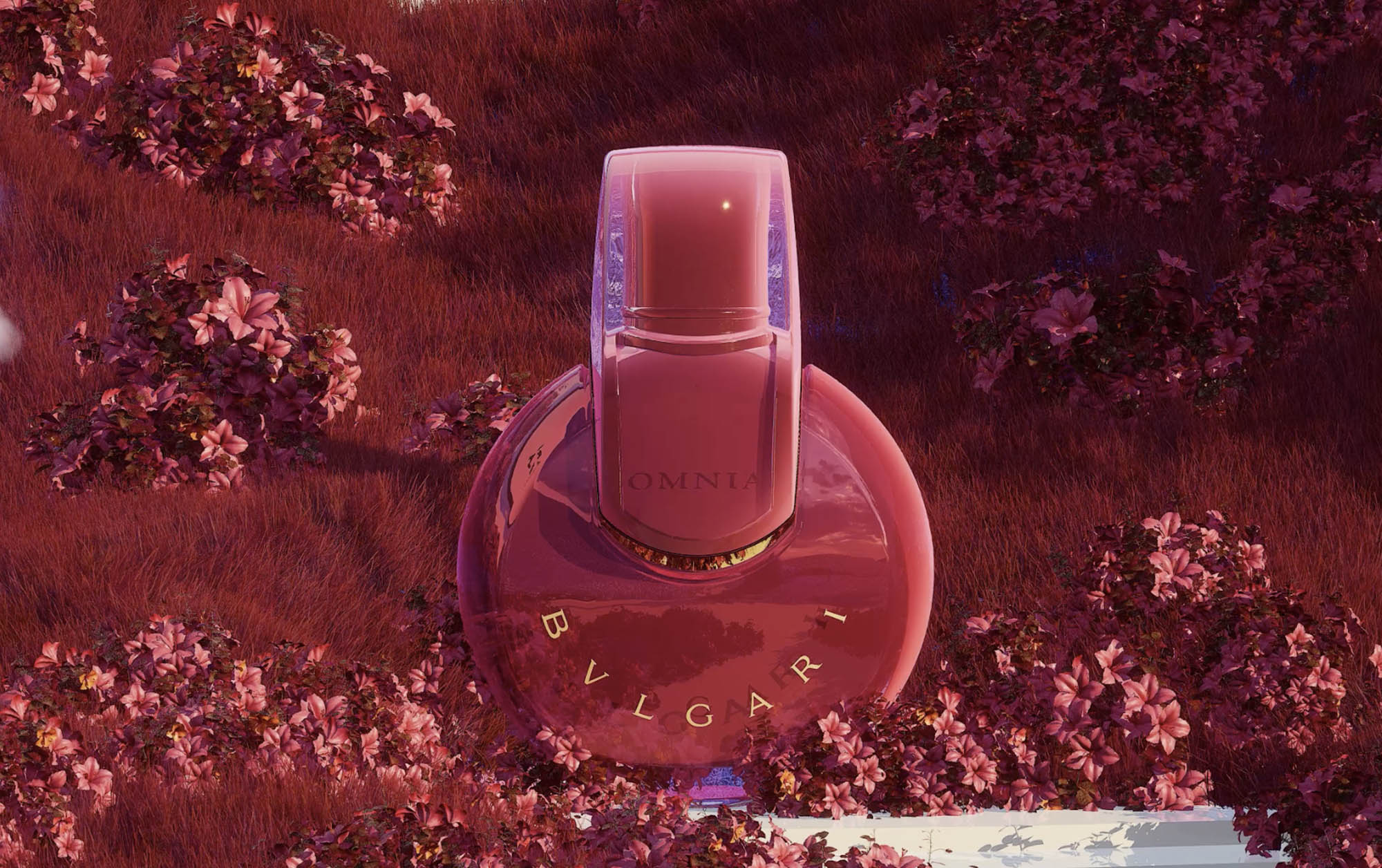 Bvlgari Omnia